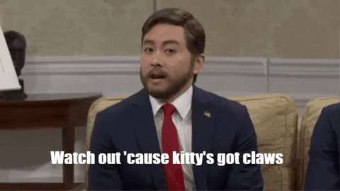 Cat Snl GIF by mooseanchors