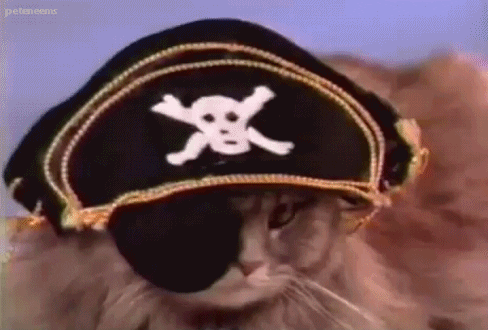 90s cats GIF