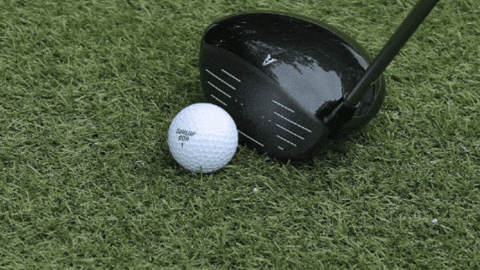 majorworld giphygifmaker GIF