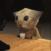 Cat Drinking Tabib GIF