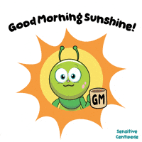 Good Morning Sun GIF by VeeFriends