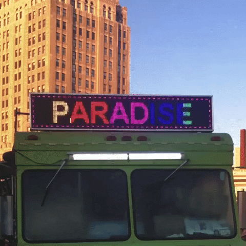 Nyc Paradise GIF by Chris