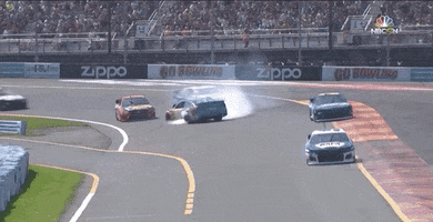 nascar racing spin 2019 duck GIF