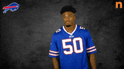 Buffalo Bills Miami GIF by Northtown Auto