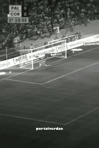 portalverdao palmeiras porco sep piquerez GIF