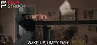 kevin kline fish GIF by FilmStruck