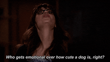 fox GIF by New Girl