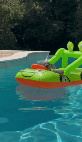 StripeH giphygifmaker giphygifmakermobile water vacation GIF