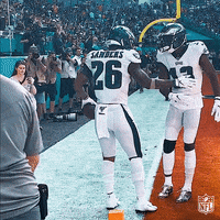 Philadelphia Eagles Football GIF by NFL