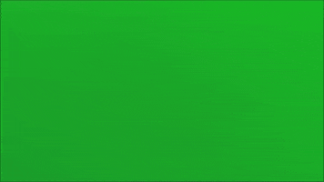 GIF by Giffffr