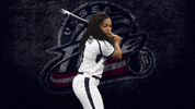 Florida Softball GIF by USSSA Pride