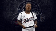 Florida Dancing GIF by USSSA Pride