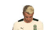 Happy Borussia Moenchengladbach Sticker by Bundesliga