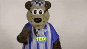 Hertha Berlin Sport GIF by Hertha BSC