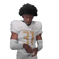 Ncaa Football Sticker by UCF Knights