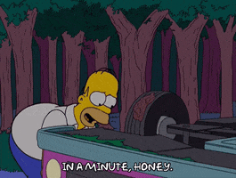 homer simpson GIF