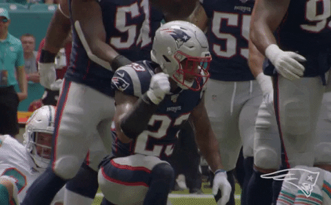 Patrick Chung Fist Bump GIF by New England Patriots