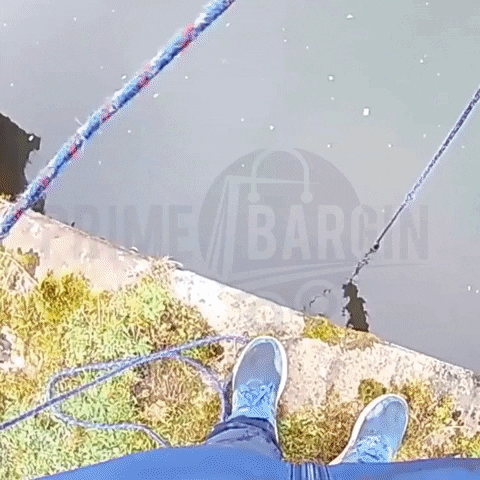 MagnaHook giphygifmaker GIF