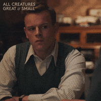 allcreaturestv sad animals sigh yorkshire GIF