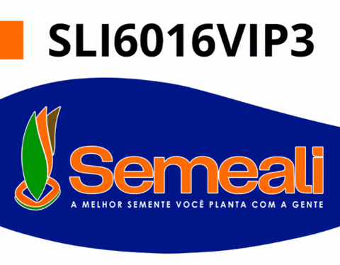 GIF by semealisementes