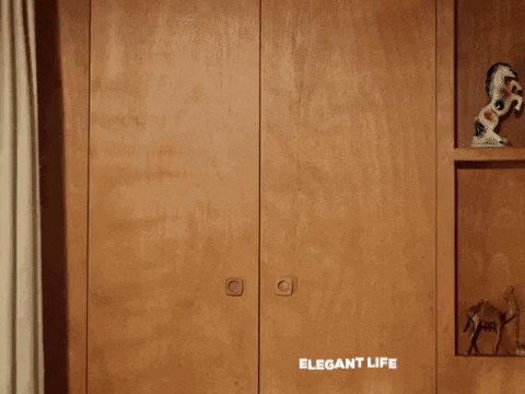 elegantlife giphygifmaker giphyattribution closet elegant life GIF