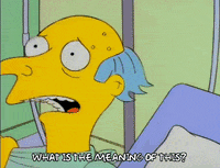 homer simpson GIF