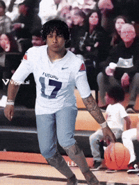 War Eagle GIF