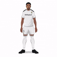 Real Madrid Football GIF by Panini America