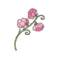 Flower Rose Sticker