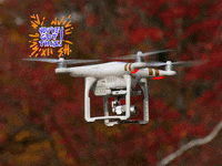 You Can Wow GIF by FranchiseONE.de