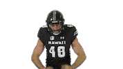 College Football Sticker by Hawaii Athletics