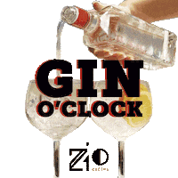 ziocucina drink gin bebida happyhour Sticker