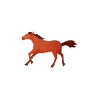 Horse Galloping Sticker by VetPartners