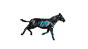 Animation Horse Sticker by ZEDRUN