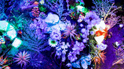 Flowers Plants GIF by Meow Wolf