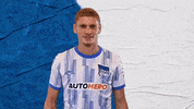 Bundesliga Berlin GIF by Hertha BSC
