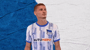 Bundesliga Berlin GIF by Hertha BSC