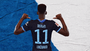 Bundesliga Berlin GIF by Hertha BSC