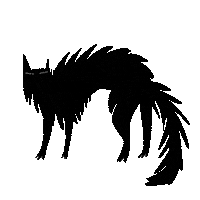 cat hair Sticker by sophiewetterich