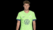 Happy Luca Waldschmidt GIF by VfL Wolfsburg