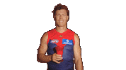 Melbourne Demons Milkshake Sticker by Melbournefc