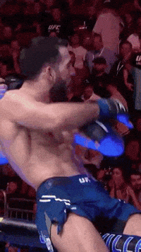 Fight Ufc GIF by promaslist