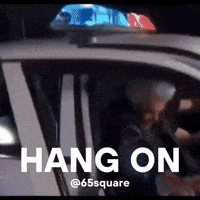 Hang On Police GIF by DEFEND Nonprofit