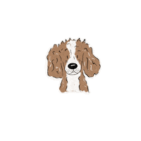Cavalierkingcharles Sticker by Winkeltjevanbeer