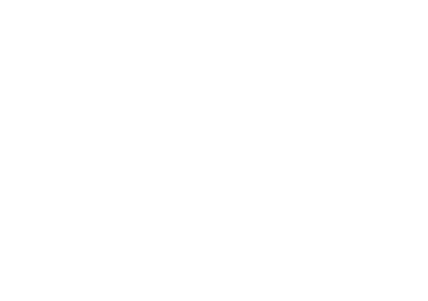 Sonicloom Sticker