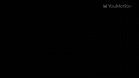 Animated Trendy Colorful Slideshow