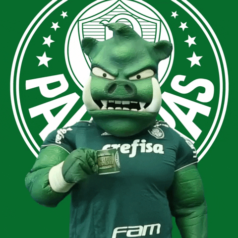 bom dia sleep GIF by SE Palmeiras