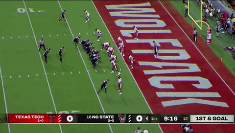 therealessad giphygifgrabber touchdown nc state Leary GIF