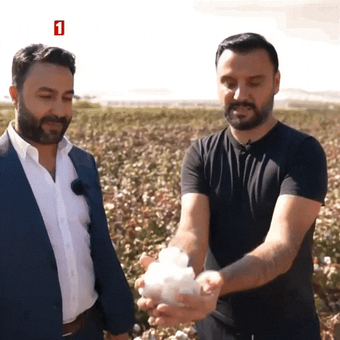 Look Wow GIF by TRT