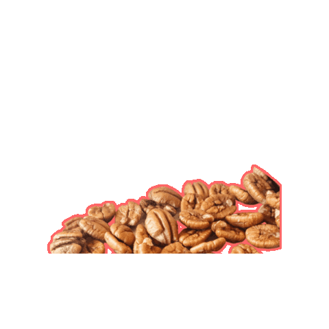 alabamapecan giphygifmaker alabama nut pecan Sticker